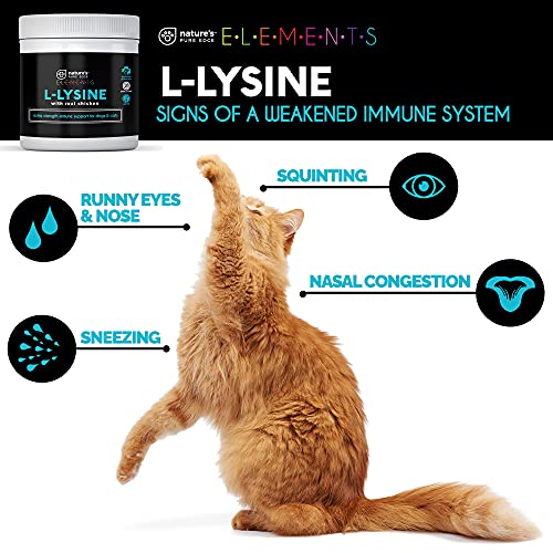 Original Extra Strength L-Lysine Powder for Cats and Dogs -Improved Immune Response, Respiratory Health, and Eye Function. All Natural Chicken for Flavor. Extra Large 125 Grams.