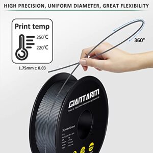 GIANTARM Silver PETG 3D Printer Filament Toughness Enhanced 1kg (2.2lbs), 1.75mm Dimensional Accuracy +/-0.03mm, 1080 Feet（330m)/Roll, Vacuum Package, Fit for Most 3D FDM Printer