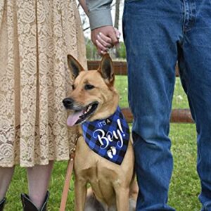 YHTWIN It's a Boy Blue Plaid Cotton Pet Dog Bandanas, Gender Reveal Photo Triangle Pet Scarf Scarves, Dog Birthday Party Decorations Props Accessories for Pet Dog Master Lovers Gift