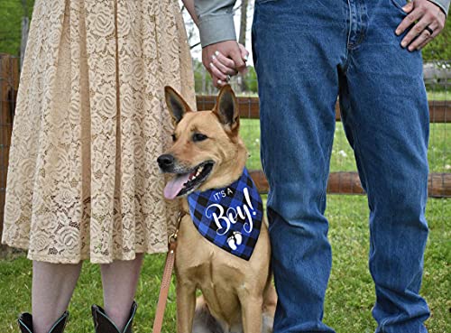 YHTWIN It's a Boy Blue Plaid Cotton Pet Dog Bandanas, Gender Reveal Photo Triangle Pet Scarf Scarves, Dog Birthday Party Decorations Props Accessories for Pet Dog Master Lovers Gift