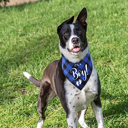 YHTWIN It's a Boy Blue Plaid Cotton Pet Dog Bandanas, Gender Reveal Photo Triangle Pet Scarf Scarves, Dog Birthday Party Decorations Props Accessories for Pet Dog Master Lovers Gift