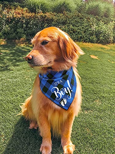 YHTWIN It's a Boy Blue Plaid Cotton Pet Dog Bandanas, Gender Reveal Photo Triangle Pet Scarf Scarves, Dog Birthday Party Decorations Props Accessories for Pet Dog Master Lovers Gift