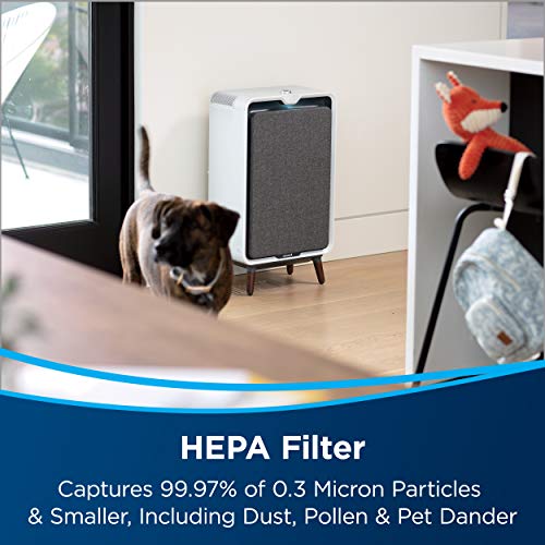 BISSELL air320 Air Purifier Replacement HEPA Filter and Activated Carbon Filter Pack (3314) , Black