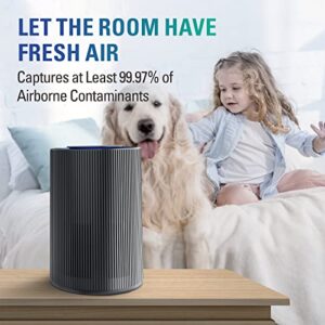 STEALTH Air Purifiers for Large Room Up to 673ft² with H13 True HEPA Filter Air Purifier,Auto Function Ultra-Quiet Sleep Mode Air Cleaner Remove 99.97% of Pet Dander and Dust,Smoke, Pollen