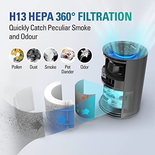 STEALTH Air Purifiers for Large Room Up to 673ft² with H13 True HEPA Filter Air Purifier,Auto Function Ultra-Quiet Sleep Mode Air Cleaner Remove 99.97% of Pet Dander and Dust,Smoke, Pollen