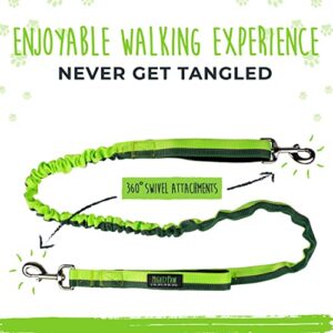 Mighty Paw Hands Free Bungee Leash 2.0 | 4’ Dog Lead W/Dual Padded Traffic Handles for Running, Hiking & Jogging. Wearable Belt (27-48” Waistband) W/ 2 Attachment Loops. Pets Up to 150lb (Green)