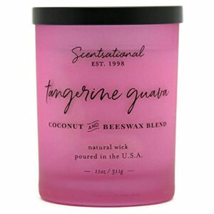 scentsational candles scentsational coconut beeswax scented candle 11oz frosted pink - tangerine guava