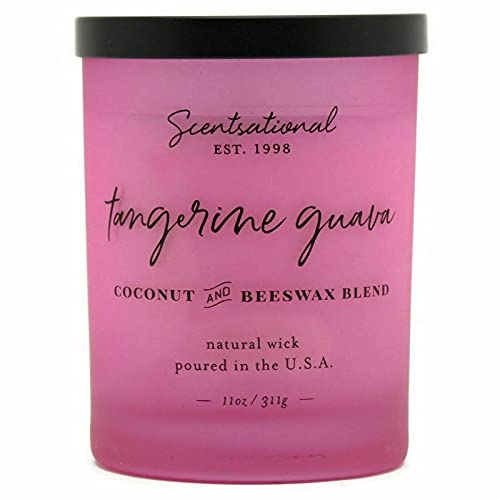 Scentsational Candles Scentsational Coconut Beeswax Scented Candle 11oz Frosted Pink - Tangerine Guava