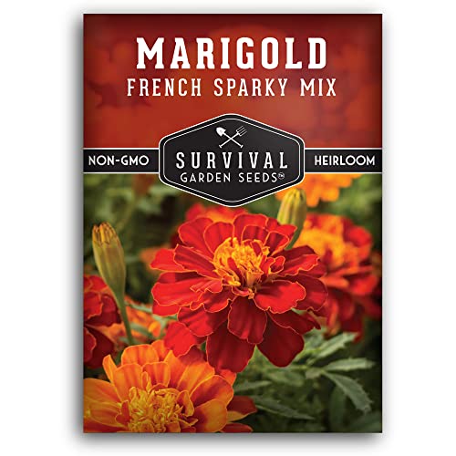 Survival Garden Seeds - French Sparky Marigold Seed for Planting - Packet with Instructions to Plant and Grow Large Tagetes Patula Flowers in Your Home Vegetable Garden - Non-GMO Heirloom Variety