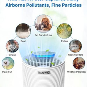 RENPHO Air Purifier for Home with 1 Pack Replacement Filter for Moist Conditions, True HEPA Air Filter Cleaner Intercepts Dust, Smoke, Smell, For room up to 240ft² (22m²), Quiet 26dB, RP-AP088-F2, 1 P