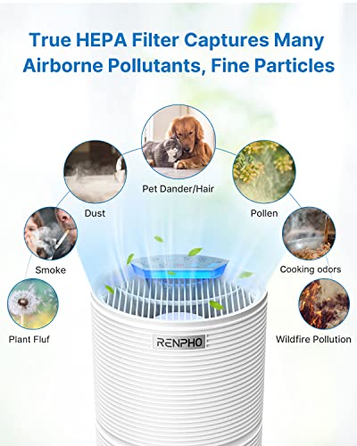 RENPHO Air Purifier for Home with 1 Pack Replacement Filter for Moist Conditions, True HEPA Air Filter Cleaner Intercepts Dust, Smoke, Smell, For room up to 240ft² (22m²), Quiet 26dB, RP-AP088-F2, 1 P