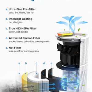 RENPHO Air Purifier for Home with 1 Pack Replacement Filter for Moist Conditions, True HEPA Air Filter Cleaner Intercepts Dust, Smoke, Smell, For room up to 240ft² (22m²), Quiet 26dB, RP-AP088-F2, 1 P