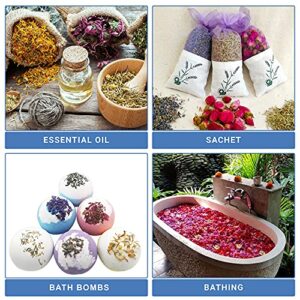 16 Bags Dried Flowers for Soap Making, Dried Flowers for Candle Making, Soap Flowers and Dried Herbs for Candle Oil, Bath Bombs. Essential Fragrant – The Best Variety of Grade A Flowers
