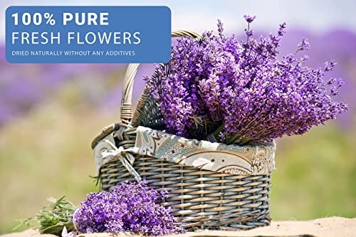 16 Bags Dried Flowers for Soap Making, Dried Flowers for Candle Making, Soap Flowers and Dried Herbs for Candle Oil, Bath Bombs. Essential Fragrant – The Best Variety of Grade A Flowers