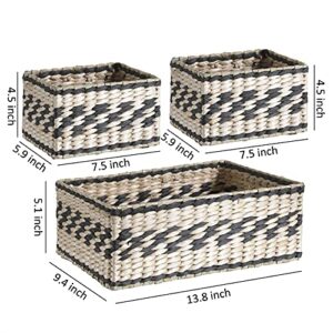 Water Hyacinth and Paper Handwoven Rectangle Basket (Assorted Set of 3, 1 Medium 13.8"x9.4"x5.1", 2 Small 7.5"x5.9"x4.5", Beige and Black)