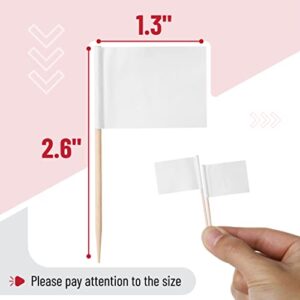 Mr. Pen- Blank Toothpick Flags, White, 100 Pcs, Cheese Markers, Cheese Labels for Charcuterie Board, Charcuterie Labels, Cheese Board Labels, Charcuterie Board Labels, Buffet Labels, Flag Toothpicks