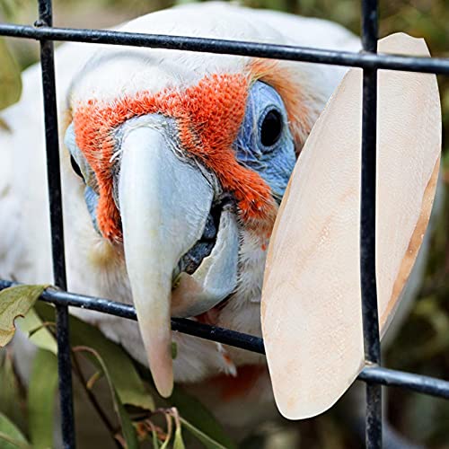 Parrot Chew Toy - Bird Cuttlebone Toys Natural Cuddle Bone Chewing Cuttlefish Bone Calcium Chewing Molar Parrot Trimming Toy for Conures Parakeets Cockatiel Macaw