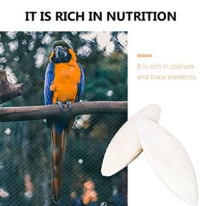 Parrot Chew Toy - Bird Cuttlebone Toys Natural Cuddle Bone Chewing Cuttlefish Bone Calcium Chewing Molar Parrot Trimming Toy for Conures Parakeets Cockatiel Macaw