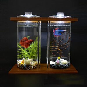 Creative Bamboo and Wood Ecological Fish Tank Dual Glass Desktop Mini DIY Goldfish Betta Fish Tank Aquarium Small Fish Tank