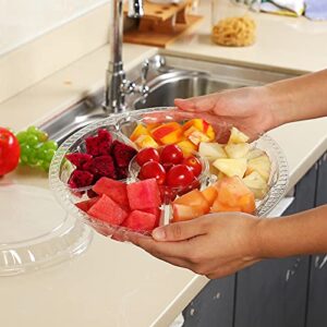 10 Pieces Appetizer Serving Trays with Lids Party Veggie Fruit Snack Trays with Lid Disposable Compartment Serving Platters Vegetable Salad Food Serving Containers (Clear,10.4 x 10.4 x 2 Inch)