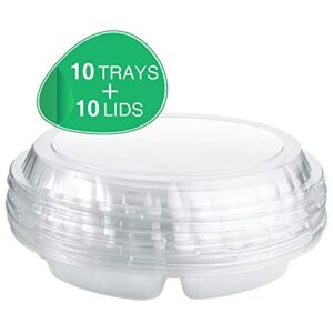 10 Pieces Appetizer Serving Trays with Lids Party Veggie Fruit Snack Trays with Lid Disposable Compartment Serving Platters Vegetable Salad Food Serving Containers (Clear,10.4 x 10.4 x 2 Inch)