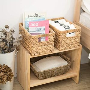 StorageWorks Water Hyacinth Storage Baskets Set