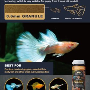 Ultra Fresh Royal Guppy Mignon Pellet, All Natural Guppy Food, Sword Prawns, Spirulina, Highly Nutritious, for Cleaner Water and More Vibrant Color 1.87 oz