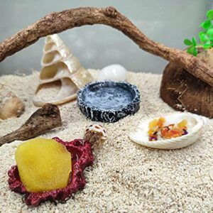 13 Pack Hermit Crab Shells with 2 Pack Food Water Bowl Growth Turbo Seashell Supplies Accessory