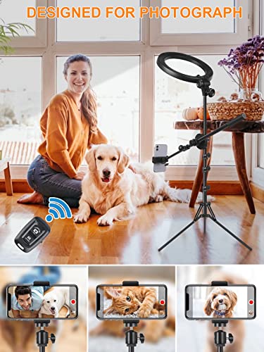 Selfie Ring Light with Stand and Phone Holder with Tripod Stand & Cell Phone Holder,Overhead Camera Phone Mount LED Halo Circle Lights Phone Stand for Video Recording/Live Stream/Vlog/YouTube/TikTok