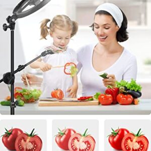 Selfie Ring Light with Stand and Phone Holder with Tripod Stand & Cell Phone Holder,Overhead Camera Phone Mount LED Halo Circle Lights Phone Stand for Video Recording/Live Stream/Vlog/YouTube/TikTok