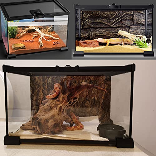 kathson Mini Reptile Glass Terrarium Tank 12"x8"x6" Amphibians Habitat Cage Full View Visually Appealing Sliding Screen Top for Bearded Dragons Lizards Geckos Hermit Crab Frog