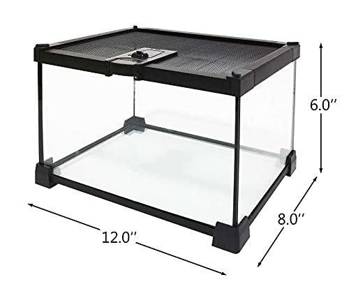 kathson Mini Reptile Glass Terrarium Tank 12"x8"x6" Amphibians Habitat Cage Full View Visually Appealing Sliding Screen Top for Bearded Dragons Lizards Geckos Hermit Crab Frog