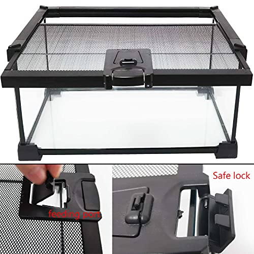 kathson Mini Reptile Glass Terrarium Tank 12"x8"x6" Amphibians Habitat Cage Full View Visually Appealing Sliding Screen Top for Bearded Dragons Lizards Geckos Hermit Crab Frog