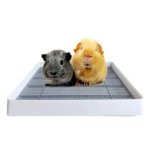 podoo rabbit large litter box, guinea pig training pan cage with toilet tray, ideal for rats, hamsters, ferret, bunny small and medium animals, 15x12x3 inches (medium)