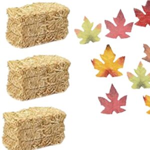 greenbrier mini hay bales for autumn harvest craft, decoration and display, pack of 4