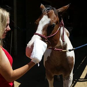 EquineSupply Fleece Applicator Wipe Mitt for Horses
