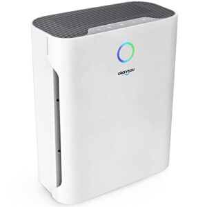 okaysou air purifiers for home large room with 3 filters, covers up to 1008 sq ft, h13 true hepa & washable filter, 23db quiet cleaner odor eliminators in bedroom, removes 99.97% of pollutants, dust smoke pollen dander hair, night light, white