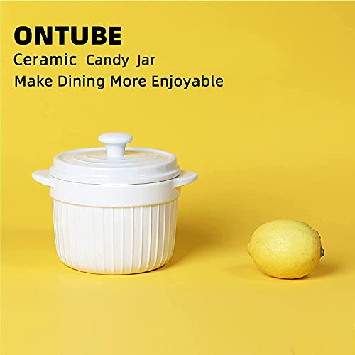 ONTUBE Ceramic Candy Jar with Lid 17oz, Porcelain Cookies Jar Candy Dishes (White)