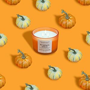 Pumpkin Spice Candle | Fall Candles | Luxury Soy & Beeswax Candles for Home | 16 oz. Large Jar 3 Wick Candle | Thanksgiving Candle | Fall Scented Candle | Autumn Candles