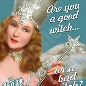 Kexle Wizard of Oz Glinda are You a Good Witch or a Bad Witch? Tin Sign 8X12in