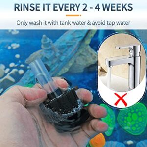 Pawfly Aquarium Nano Bio Sponge Filter Quiet Fry Betta Shrimp Foam Filter Kit with Airline Tubing for Small Fish Tank up to 3 Gallon