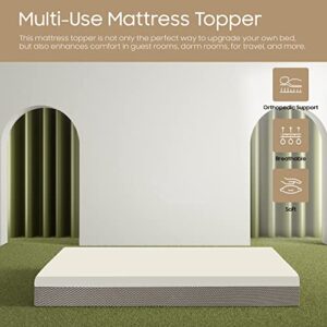 Zayton 1-inch Foam Mattress Topper | Premium Supporting Bed Pads with Luxurious Softness, Breathable and Comfortable Bed Toppers for Back Pain, Orthopedic Support for Better Sleep, Twin, White