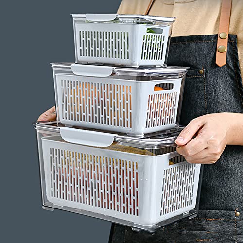 Cedilis 3 Pack Fresh Container, Produce Saver Container for Refrigerator, Vegetable Fruit Storage Container, Fridge Storage Organizer Bins with Divider, Fridge Container Box, Grey（Not Dishwasher Safe)
