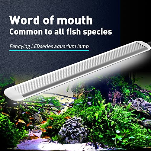 Super Slim LED Aquarium Lighting Aquatic Plant Light , Extensible Waterproof Clip on Lamp for Fish Tank (LY1017D（6.7in/5W）)