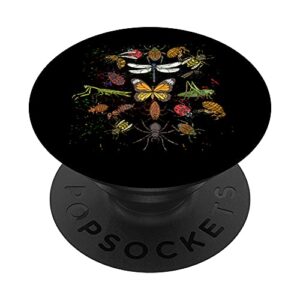 entomologist beetle bugs collector biology insect bug popsockets swappable popgrip