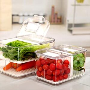 REFSAVER Produce Container Bins for Refrigerator Fruit Storgae Container with Foldable Lid Fridge Produce Saver with Removable Drain Tray Vegetable Baskets for Kitchen