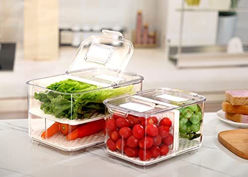 REFSAVER Produce Container Bins for Refrigerator Fruit Storgae Container with Foldable Lid Fridge Produce Saver with Removable Drain Tray Vegetable Baskets for Kitchen