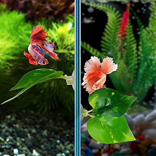 Noodoky Betta Leaf Hammock Silicone Peace Plant Accessories, Beta Fish Leaf Rest Pad Bed, Beta Tank Decorations (2-Pack)