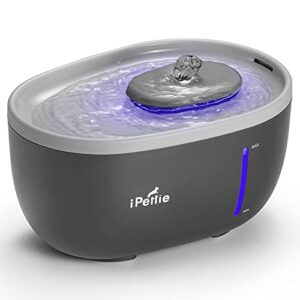 ipettie avocado pet water fountain with led light, 67oz/2.0l, ultra quiet cat water fountain with filter, automatic pet water fountain for cats and small dogs, grey
