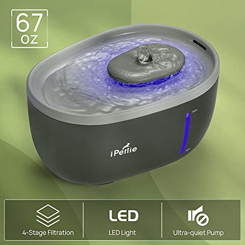 iPettie Avocado Pet Water Fountain with LED Light, 67oz/2.0L, Ultra Quiet Cat Water Fountain with Filter, Automatic Pet Water Fountain for Cats and Small Dogs, Grey